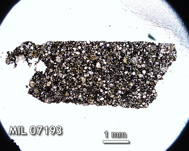 Thin Section Photo of Sample MIL 07193 in Plane-Polarized Light with 1.25x Magnification