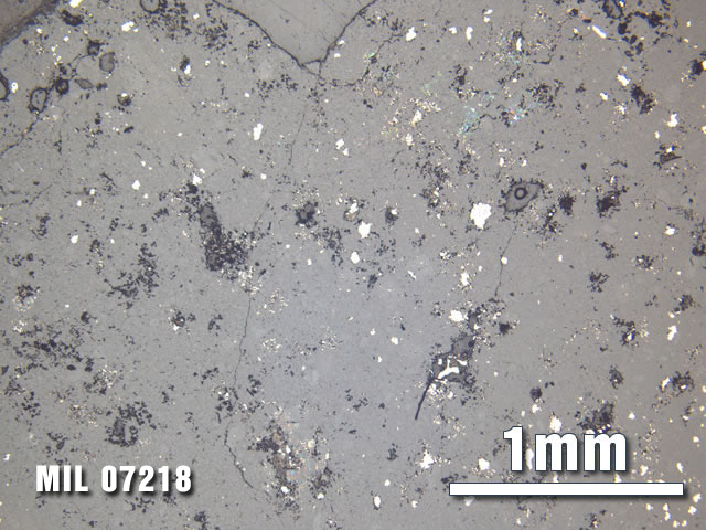 Thin Section Photo of Sample MIL 07218 at 2.5X Magnification in Reflected Light