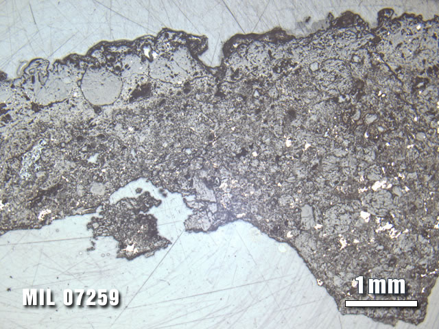 Thin Section Photo of Sample MIL 07259 at 1.25X Magnification in Reflected Light