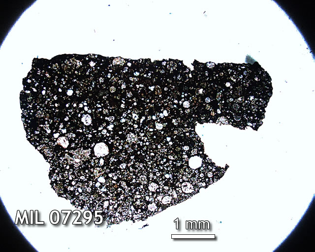 Thin Section Photo of Sample MIL 07295 in Plane-Polarized Light with 1.25x Magnification