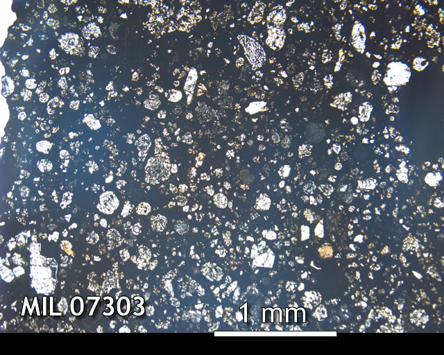 Thin Section Photo of Sample MIL 07303 in Plane-Polarized Light with 2.5x Magnification