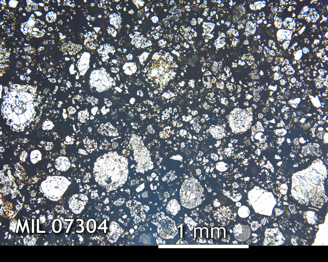 Thin Section Photo of Sample MIL 07304 in Plane-Polarized Light with 2.5x Magnification