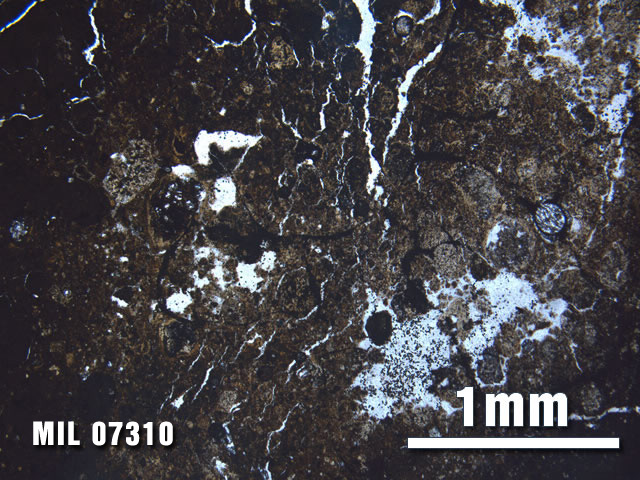 Thin Section Photo of Sample MIL 07310 at 2.5X Magnification in Plane-Polarized Light