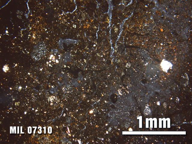 Thin Section Photo of Sample MIL 07310 at 2.5X Magnification in Cross-Polarized Light