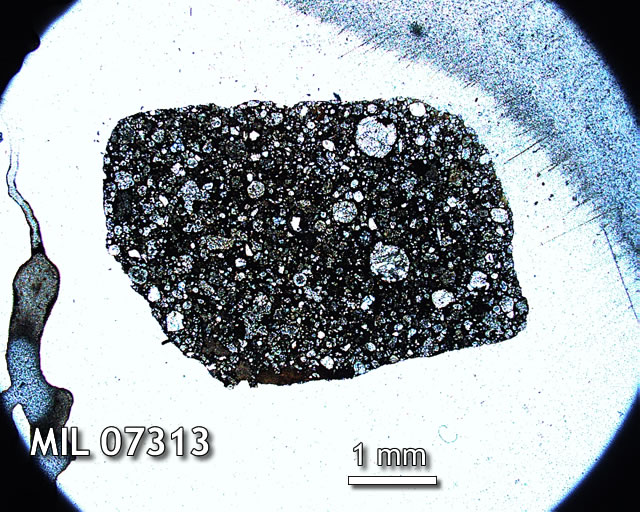 Thin Section Photo of Sample MIL 07313 in Plane-Polarized Light with 1.25x Magnification