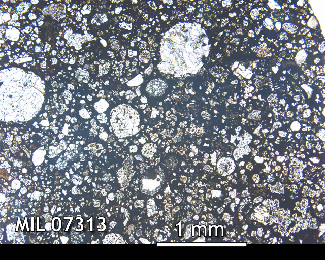 Thin Section Photo of Sample MIL 07313 in Plane-Polarized Light with 2.5x Magnification