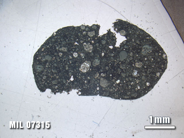 Thin Section Photo of Sample MIL 07315 at 1.25X Magnification in Plane-Polarized Light
