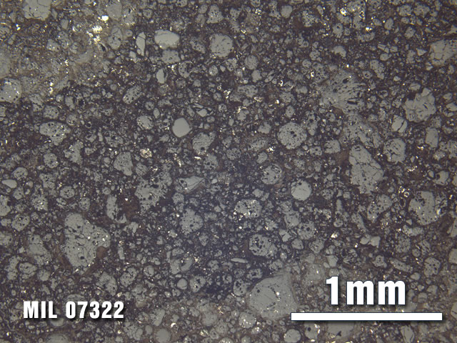 Thin Section Photo of Sample MIL 07322 at 2.5X Magnification in Reflected Light
