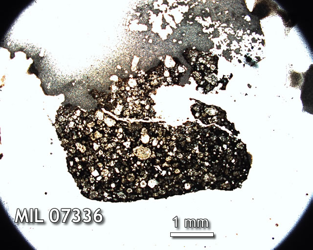 Thin Section Photo of Sample MIL 07336 in Plane-Polarized Light with 1.25x Magnification