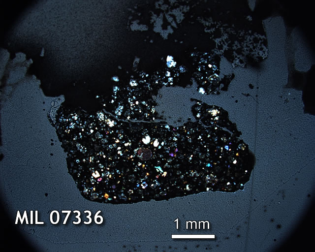 Thin Section Photo of Sample MIL 07336 in Cross-Polarized Light with 1.25x Magnification