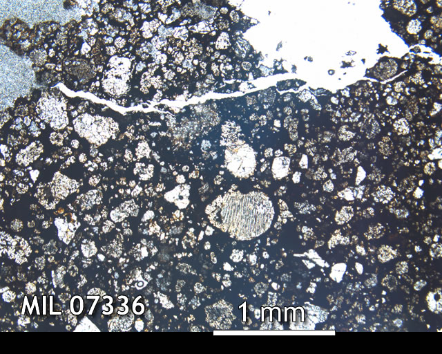 Thin Section Photo of Sample MIL 07336 in Plane-Polarized Light with 2.5x Magnification