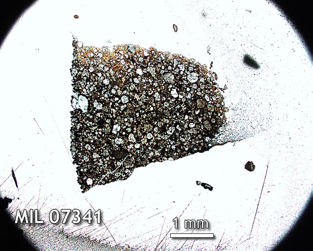 Thin Section Photo of Sample MIL 07341 in Plane-Polarized Light with 1.25x Magnification