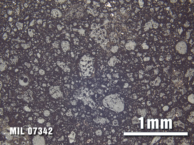Thin Section Photo of Sample MIL 07342 at 2.5X Magnification in Reflected Light