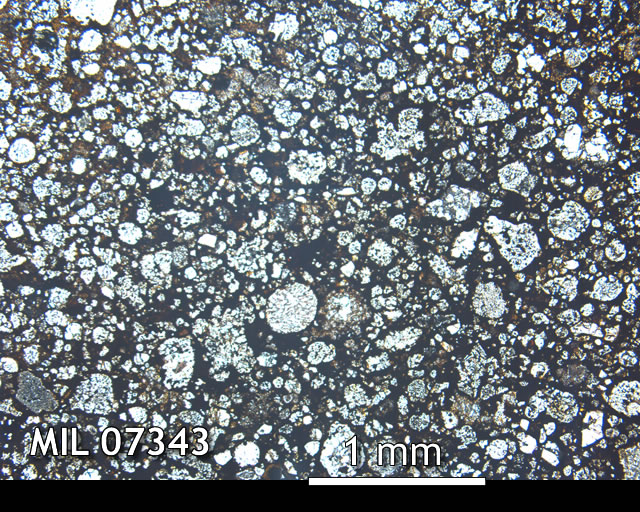 Thin Section Photo of Sample MIL 07343 in Plane-Polarized Light with 2.5x Magnification