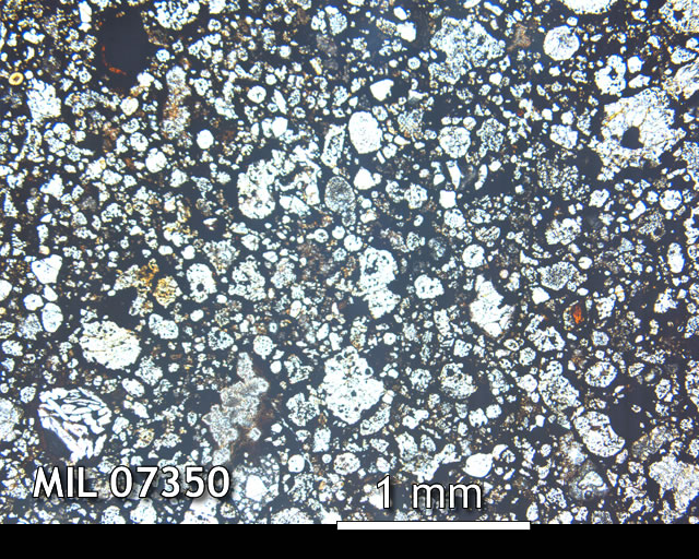 Thin Section Photo of Sample MIL 07350 in Plane-Polarized Light with 2.5x Magnification