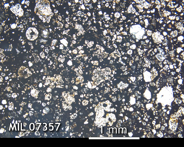 Thin Section Photo of Sample MIL 07357 in Plane-Polarized Light with 2.5x Magnification