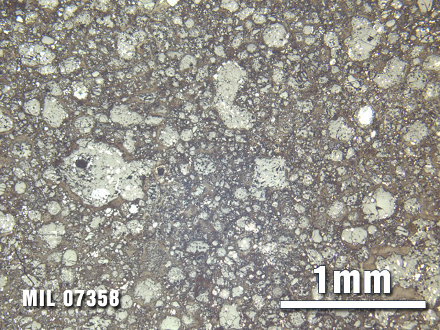 Thin Section Photo of Sample MIL 07358 at 2.5X Magnification in Reflected Light
