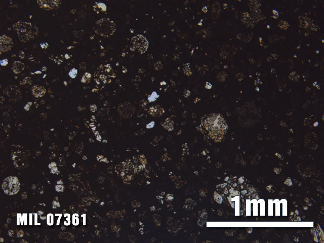 Thin Section Photo of Sample MIL 07361 at 2.5X Magnification in Plane-Polarized Light