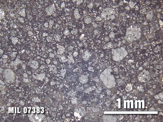 Thin Section Photo of Sample MIL 07383 at 2.5X Magnification in Reflected Light