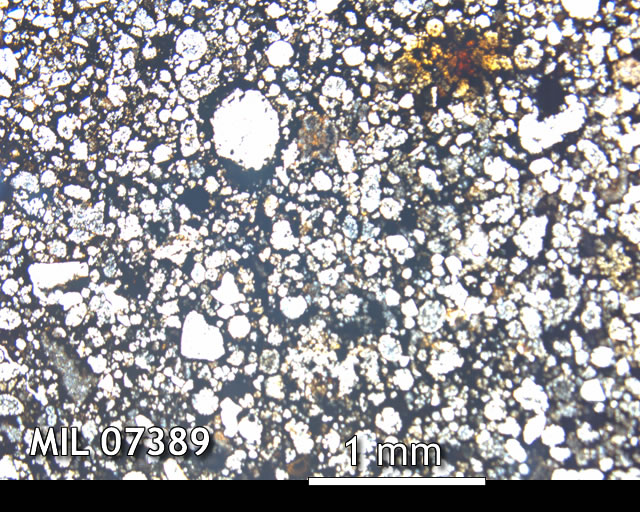 Thin Section Photo of Sample MIL 07389 in Plane-Polarized Light with 2.5x Magnification