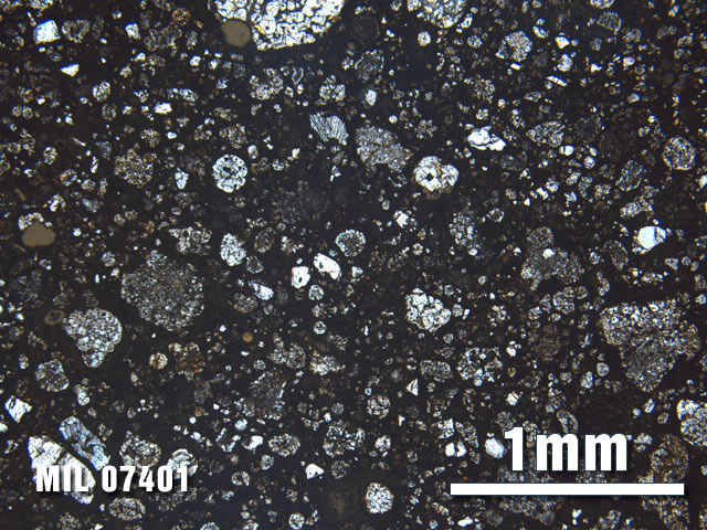 Thin Section Photo of Sample MIL 07401 at 2.5X Magnification in Plane-Polarized Light