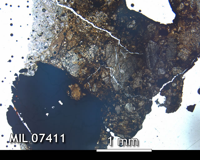 Thin Section Photo of Sample MIL 07411 in Plane-Polarized Light with 2.5x Magnification