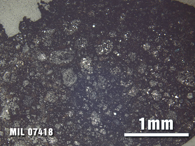 Thin Section Photo of Sample MIL 07418 at 2.5X Magnification in Reflected Light