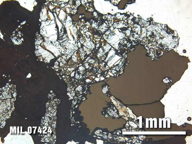 Thin Section Photo of Sample MIL 07424 at 2.5X Magnification in Plane-Polarized Light