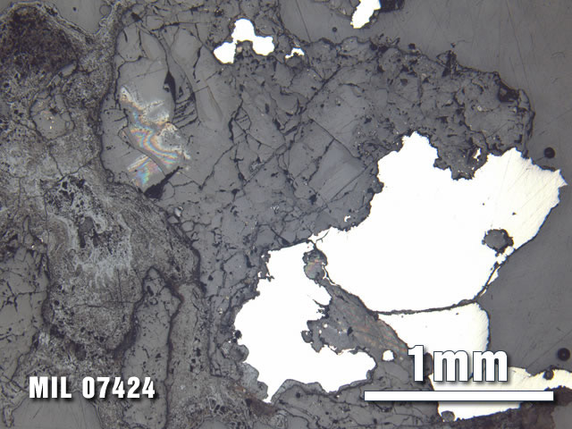 Thin Section Photo of Sample MIL 07424 at 2.5X Magnification in Reflected Light