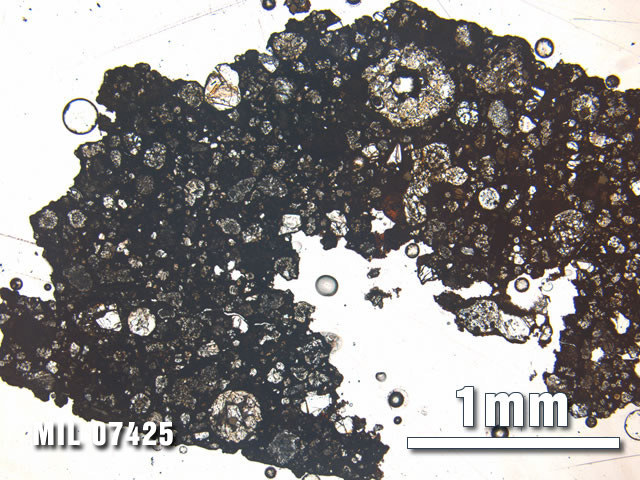Thin Section Photo of Sample MIL 07425 at 2.5X Magnification in Plane-Polarized Light