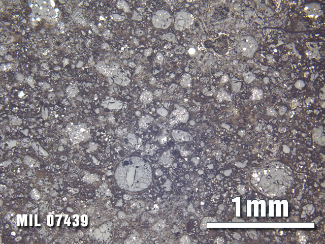 Thin Section Photo of Sample MIL 07439 at 2.5X Magnification in Reflected Light