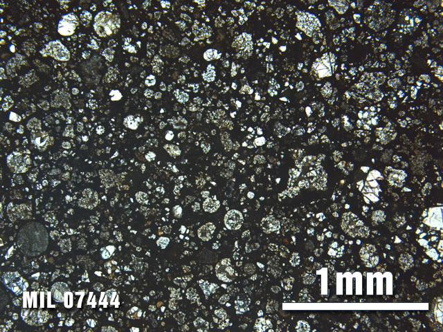 Thin Section Photo of Sample MIL 07444 at 2.5X Magnification in Plane-Polarized Light