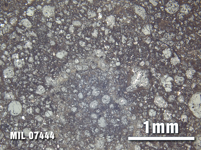 Thin Section Photo of Sample MIL 07444 at 2.5X Magnification in Reflected Light