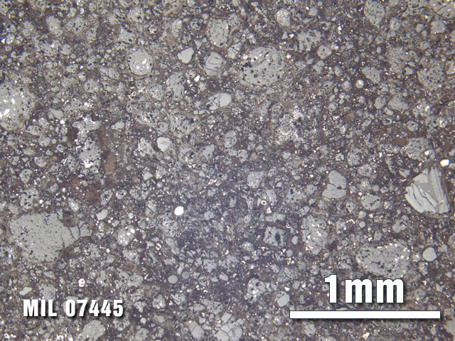 Thin Section Photo of Sample MIL 07445 at 2.5X Magnification in Reflected Light