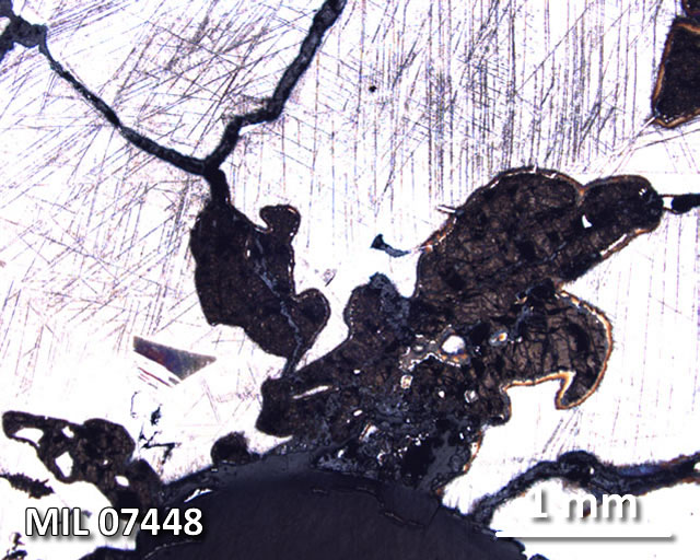 Thin Section Photograph of Sample MIL 07448 in Reflected Light