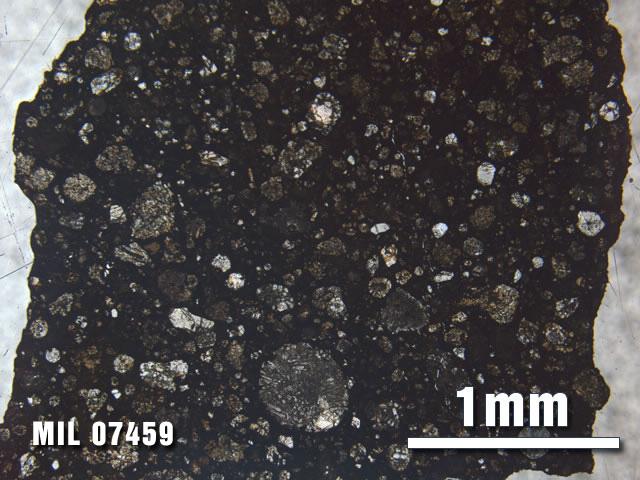 Thin Section Photo of Sample MIL 07459 at 2.5X Magnification in Plane-Polarized Light