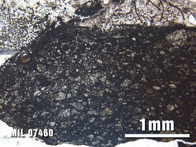 Thin Section Photo of Sample MIL 07460 at 2.5X Magnification in Plane-Polarized Light