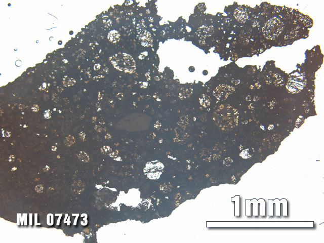 Thin Section Photo of Sample MIL 07473 at 2.5X Magnification in Plane-Polarized Light