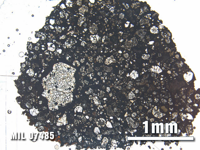 Thin Section Photo of Sample MIL 07485 at 2.5X Magnification in Plane-Polarized Light