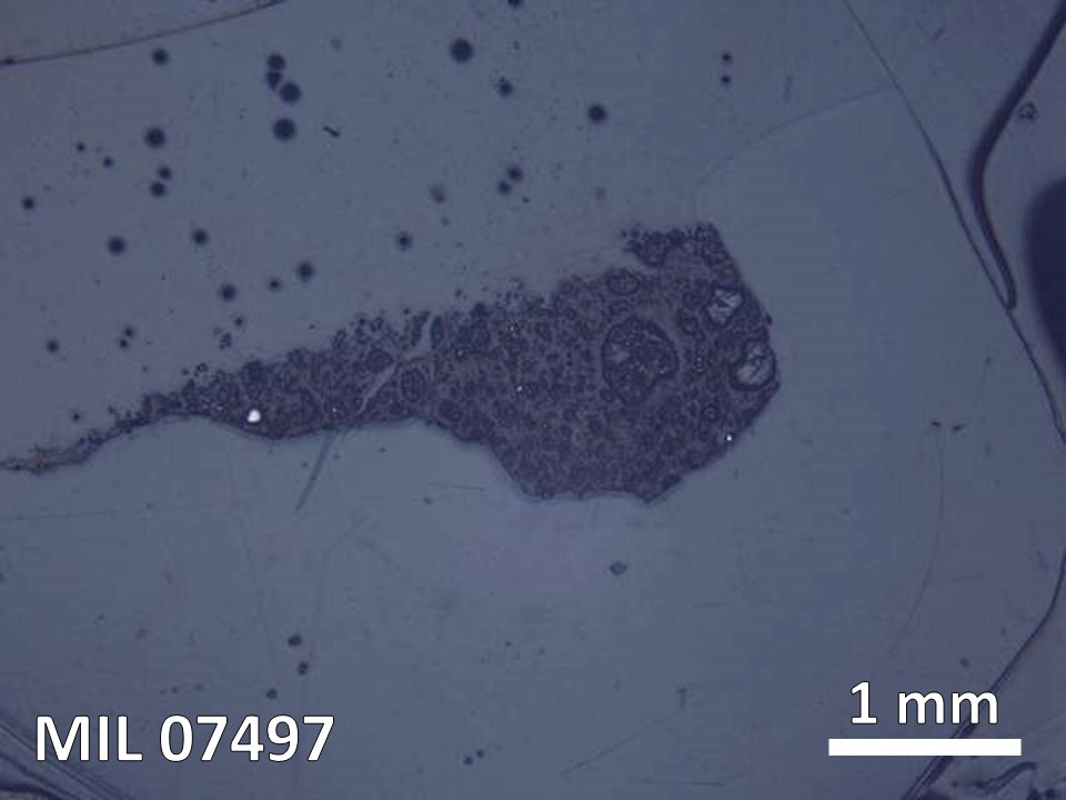 Thin Section Photo of Sample MIL 07497 in Reflected Light with  Magnification