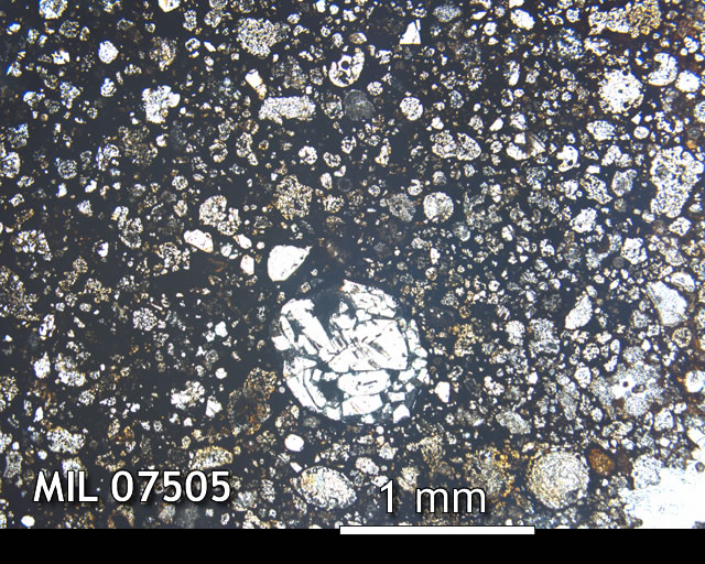 Thin Section Photo of Sample MIL 07505 in Plane-Polarized Light with 2.5x Magnification