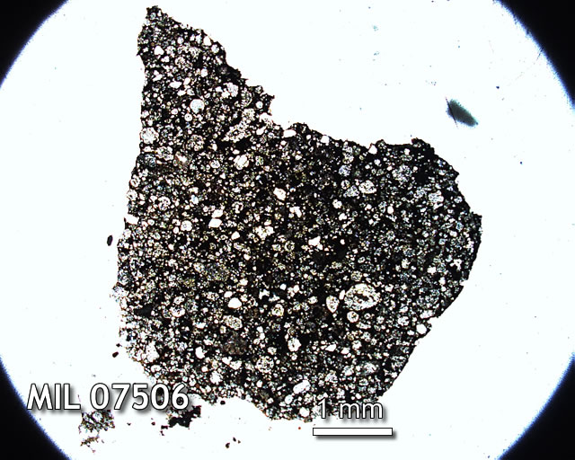 Thin Section Photo of Sample MIL 07506 in Plane-Polarized Light with 1.25x Magnification