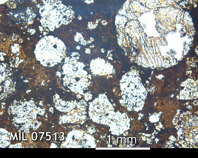 Thin Section Photo of Sample MIL 07513 in Plane-Polarized Light with 2.5x Magnification
