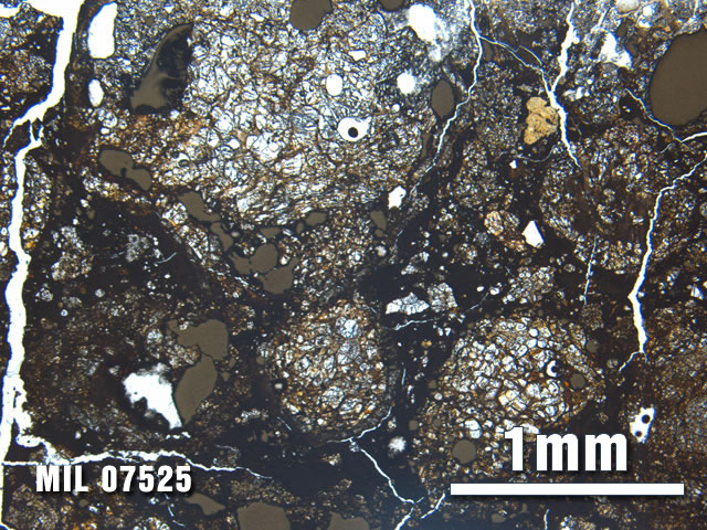 Thin Section Photo of Sample MIL 07525 at 2.5X Magnification in Plane-Polarized Light