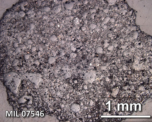 Thin Section Photograph of Sample MIL 07546 in Reflected Light