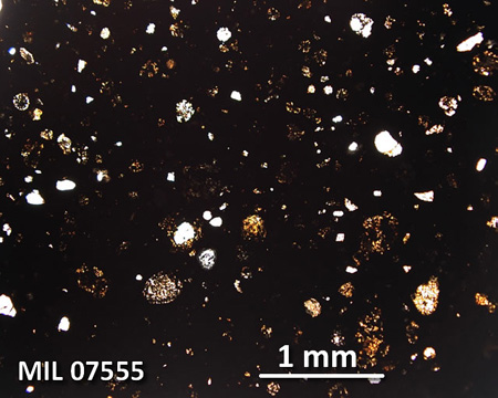 MIL 07555 Meteorite Thin Section Photo with 2.5x magnification in Plane-Polarized Light