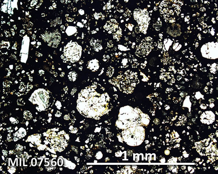 MIL 07560 Meteorite Thin Section Photo with 5x magnification in Plane-Polarized Light