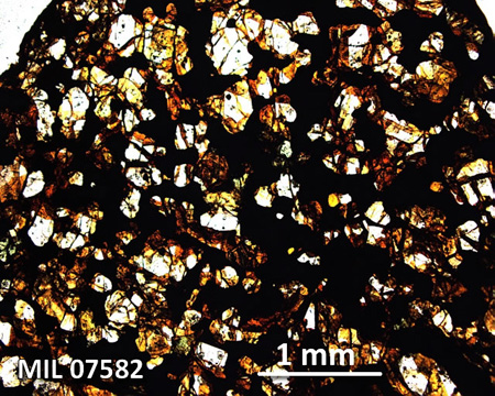 MIL 07582 Meteorite Thin Section Photo with 2.5x magnification in Plane-Polarized Light