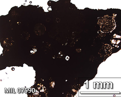 Thin Section Photograph of Sample MIL 07590 in Plane-Polarized Light