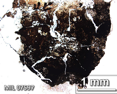 Thin Section Photograph of Sample MIL 07597 in Plane-Polarized Light